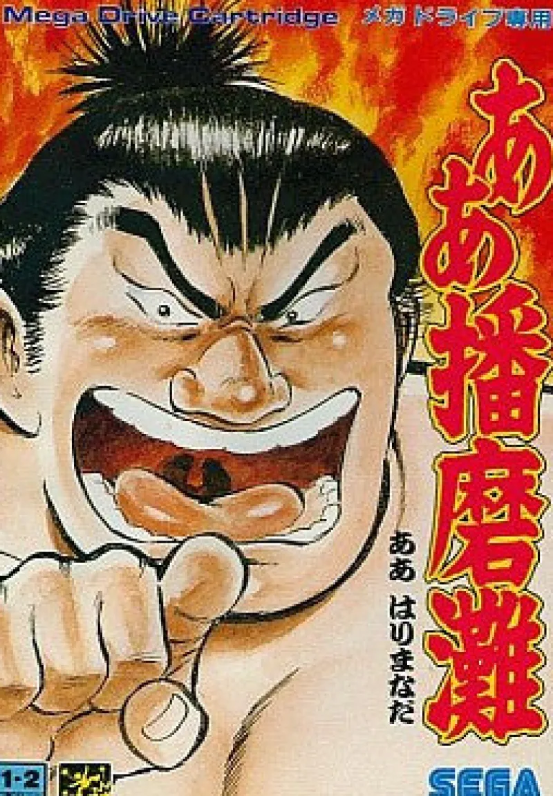 Outlet Sega AA Harimanada