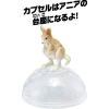 Clearance Takara Tomy Ania AC-05 Kangaroo (Child)