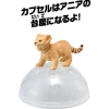 Takara Tomy Ania AC-01 Lion (Cub) Clearance