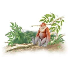 Takara Tomy Ania AS-29 Proboscis Monkey Best