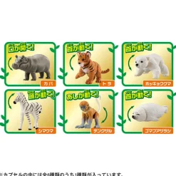 Takara Tomy Ania Gacha and Korokoro Capsule 2 12Pack BOX Discount