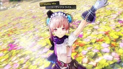 Gust Atelier Lydie & Soeur: Alchemists of the Mysterious Painting [Premium Box] Sale