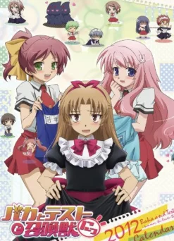 Sale Ensky Baka to Test to Shoukanjuu Ni! - Wall Calendar - 2012 [Magazine]