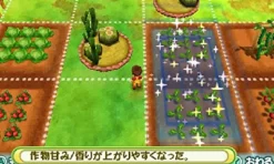 Discount Marvelous Entertainment Bokujou Monogatari Mitsu no Ri no Taisetsu na Tomodachi