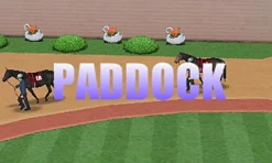 Kadokawa Games Derby Stallion Gold Sale