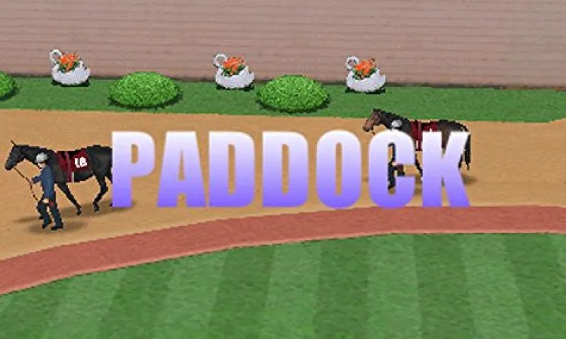 Kadokawa Games Derby Stallion Gold Sale