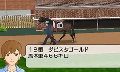 Kadokawa Games Derby Stallion Gold Sale