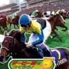 Sega Derby Tsuku 5: Derby Uma o Tsukurou! Best