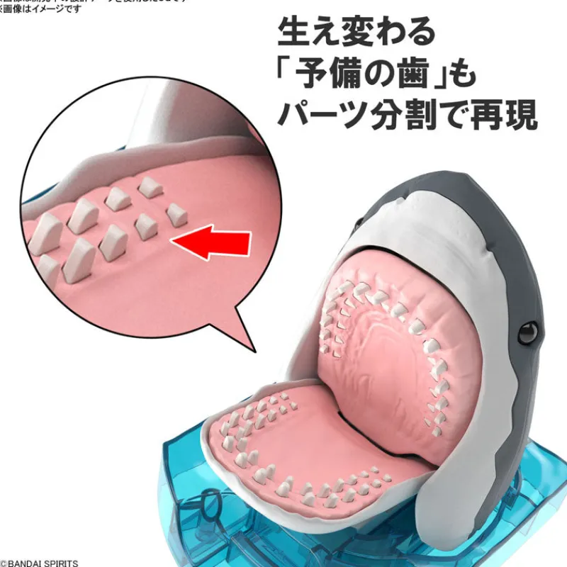 Bandai Spirits Exploring Lab Nature Great White Shark Plastic Model Clearance