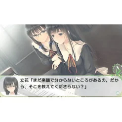 Clearance Prototype Flowers