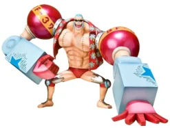 Bandai Franky | The New World Hot