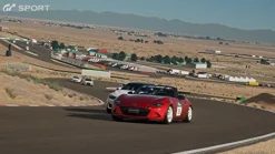 Sony Computer Entertainment Gran Turismo Sport Hot