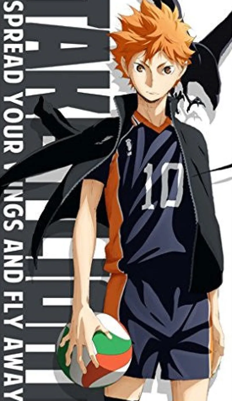 New Cospa Haikyuu!! - Hinata Shouyou - Towel - Big Towel