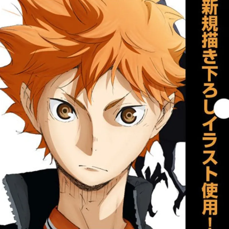 New Cospa Haikyuu!! - Hinata Shouyou - Towel - Big Towel