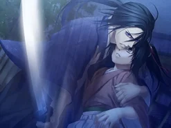 Best アイディアファクトリー Hakuoki Akeme Kenkaku Nintendo Switch