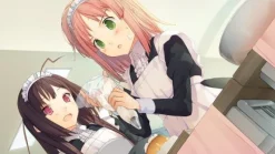 Clearance GN Software Ima Sugu Onii-chan ni Imouto datte Iitai [Limited Edition]