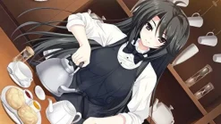 Hot Yeti Kosyoku Meikyu Rinbukyoku: La Role de fortune ( Best)