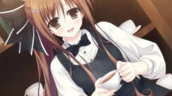 Yeti Kosyoku Meikyu Rinbukyoku: La Role de fortune