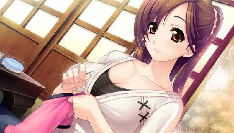 NetRevo Motto Ane Chanto Shiyouyo +Plus Outlet