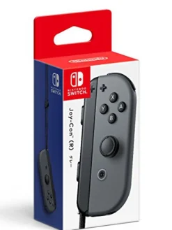 Best Nintendo Switch - Joy-Con - Right - Gray