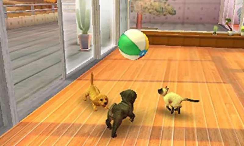 New NintendoRated By Our Customers Nintendogs + Cats: Shiba & New Friends (Happy Price Selection)