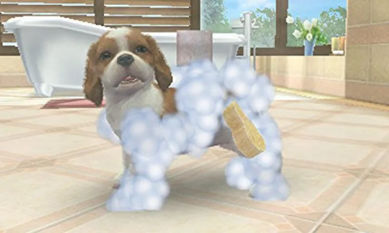 New NintendoRated By Our Customers Nintendogs + Cats: Shiba & New Friends (Happy Price Selection)