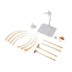 Bandai Spirits One Piece - S.H.Figuarts - Gum Gum Option Parts Set Best
