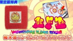 Best 5pb Oretachi Ni Tsubasa Wa Nai: Under the Innocent Sky [Limited Edition]