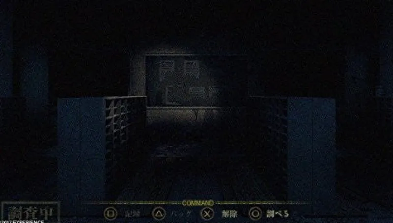 Outlet Sony Computer Entertainment Shiin