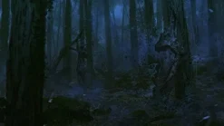 Outlet Sony Computer Entertainment Shiin