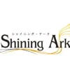 Clearance Sega Shining Ark (Accessory Set)