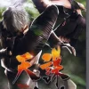 Discount From Software Tenchu: Shinobi Taizen