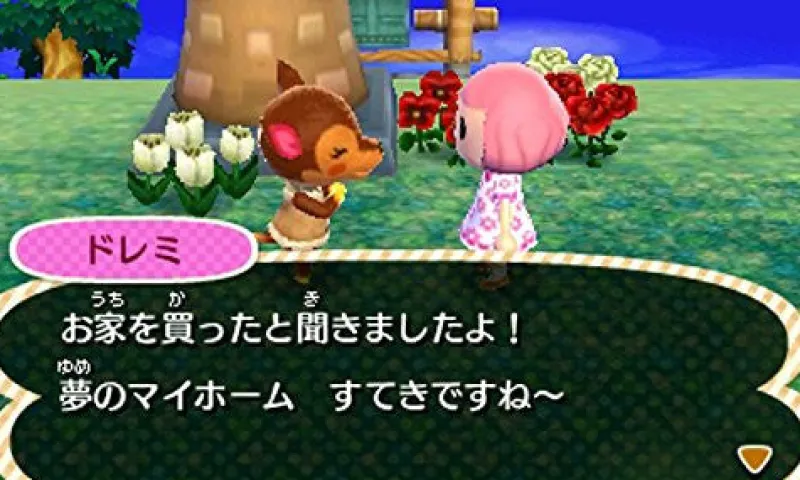 NintendoRated By Our Customers Tobidase Doubutsu no Mori (Happy Price Selection) Hot