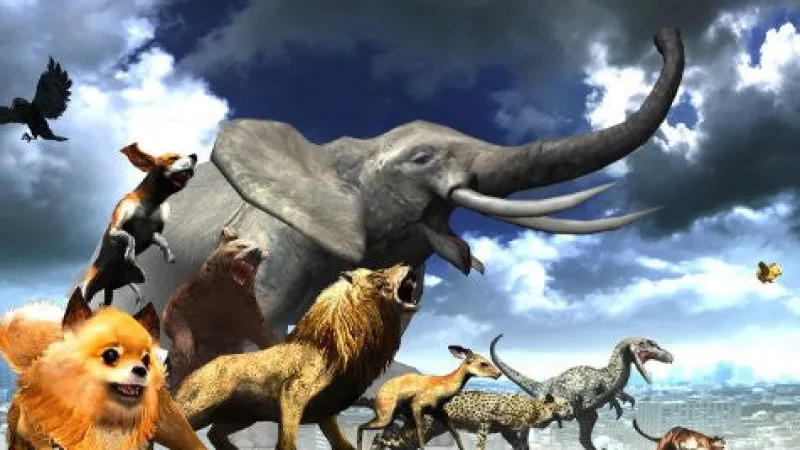 Sony Computer Entertainment Tokyo Jungle Clearance