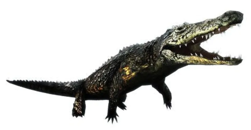 Sony Computer Entertainment Tokyo Jungle Clearance