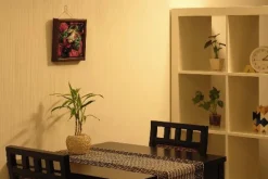 Online Good Smile Company Vocaloid - Hatsune Miku - 1/8 - World is Mine Natural Frame ver.