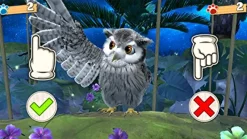 Clearance Nippon Columbia Waku Waku Doubutsu Land