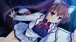 Piacci World Election [Limited Edition] Discount